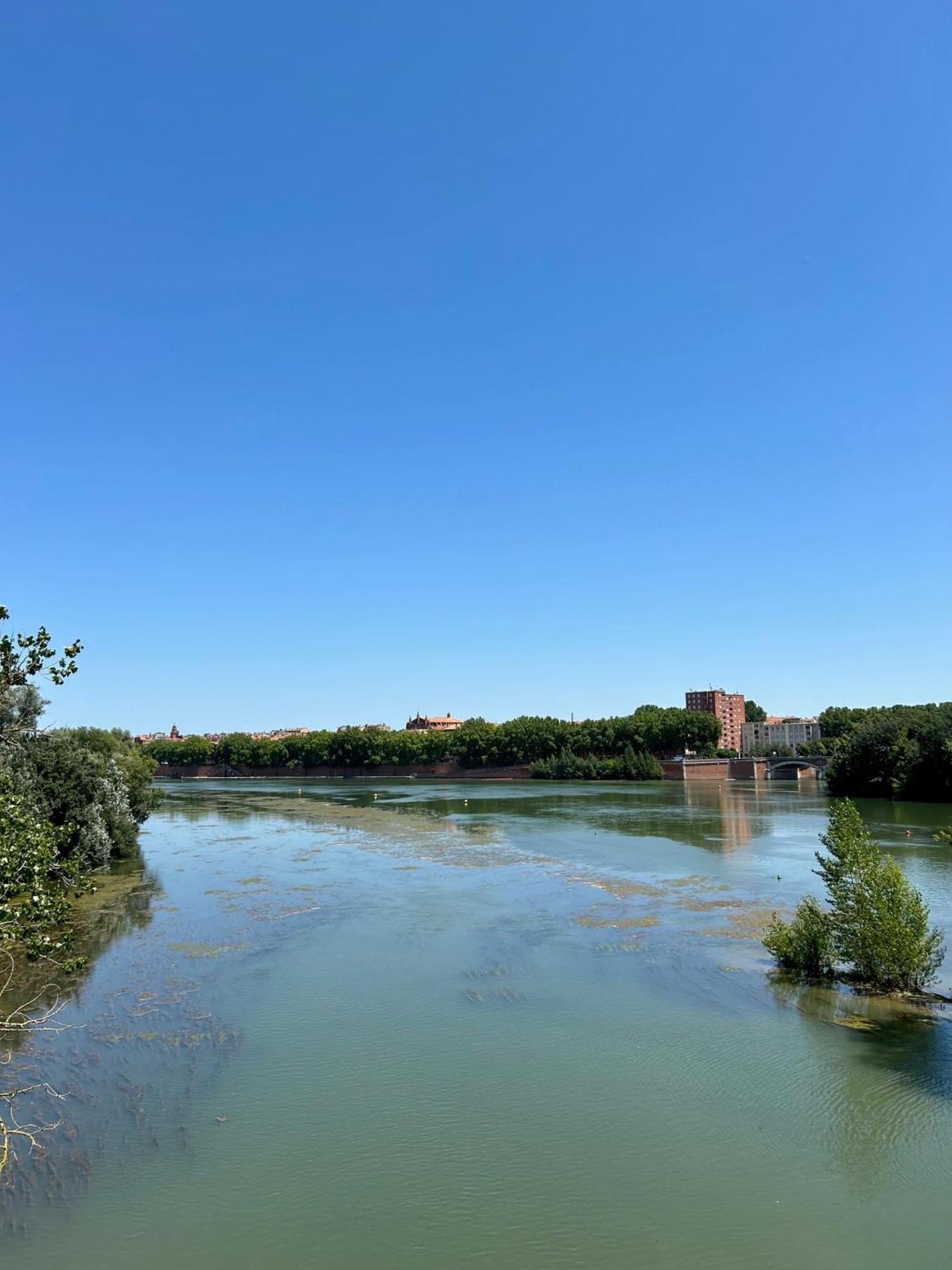 Loft Garonne - Centre Ville Immeuble Privatif Toulouse Exteriér fotografie